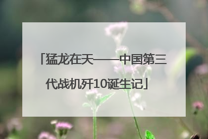 猛龙在天——中国第三代战机歼10诞生记