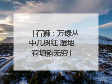 石狮：万绿丛中几树红 湿地荷塘韵无穷