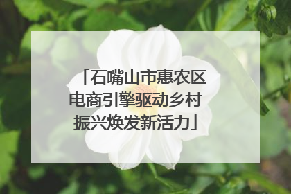 石嘴山市惠农区电商引擎驱动乡村振兴焕发新活力