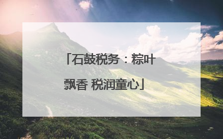 石鼓税务：粽叶飘香 税润童心