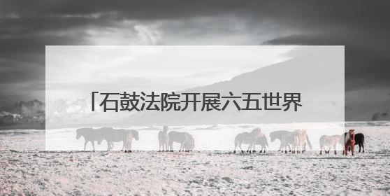 石鼓法院开展六五世界环境日普法宣传活动