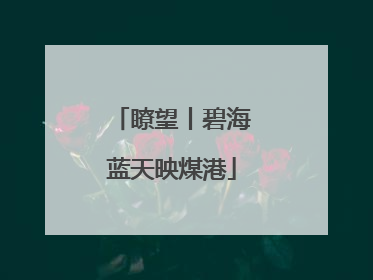 瞭望丨碧海蓝天映煤港