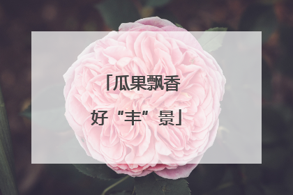 瓜果飘香 好“丰”景