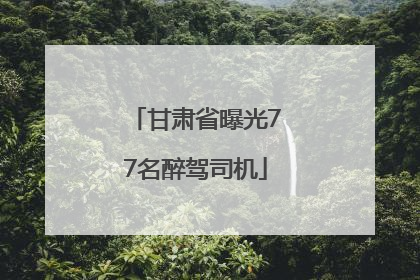 甘肃省曝光77名醉驾司机