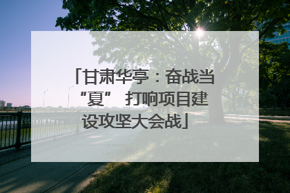 甘肃华亭：奋战当“夏” 打响项目建设攻坚大会战