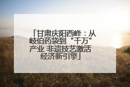 甘肃庆阳西峰：从岐伯药袋到“千万”产业 非遗技艺激活经济新引擎