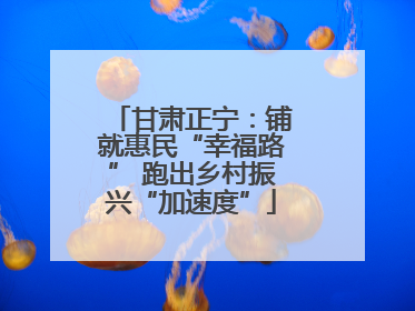 甘肃正宁：铺就惠民“幸福路” 跑出乡村振兴“加速度”