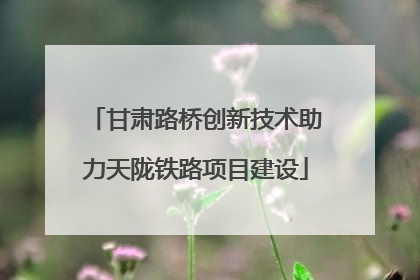 甘肃路桥创新技术助力天陇铁路项目建设