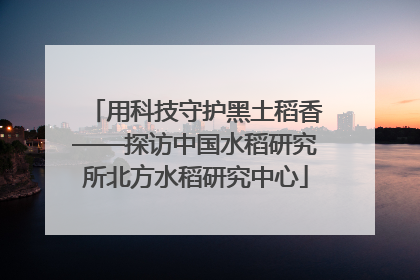 用科技守护黑土稻香——探访中国水稻研究所北方水稻研究中心