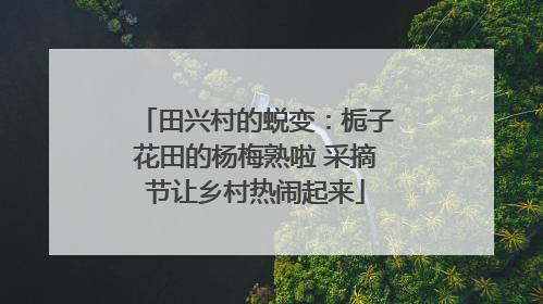 田兴村的蜕变：栀子花田的杨梅熟啦 采摘节让乡村热闹起来