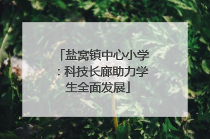 盐窝镇中心小学：科技长廊助力学生全面发展