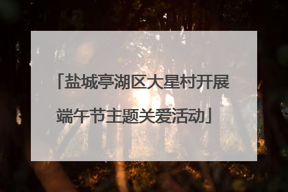盐城亭湖区大星村开展端午节主题关爱活动