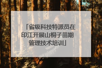省级科技特派员在印江开展山桐子苗期管理技术培训
