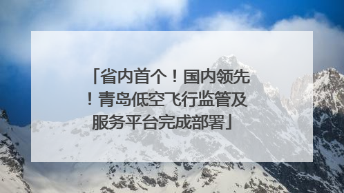 省内首个！国内领先！青岛低空飞行监管及服务平台完成部署