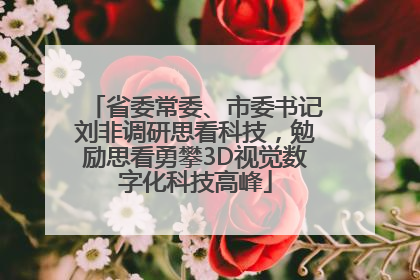 省委常委、市委书记刘非调研思看科技，勉励思看勇攀3D视觉数字化科技高峰