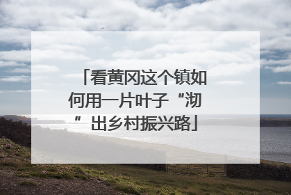 看黄冈这个镇如何用一片叶子“沏”出乡村振兴路