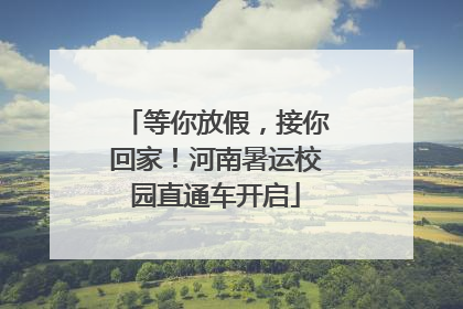 等你放假，接你回家！河南暑运校园直通车开启