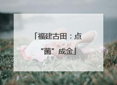 福建古田：点“菌”成金