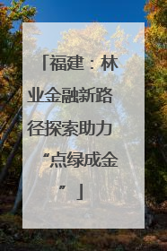 福建：林业金融新路径探索助力“点绿成金”