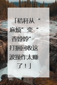 秸秆从“麻烦”变“香饽饽” 打捆回收这波操作太赚了！