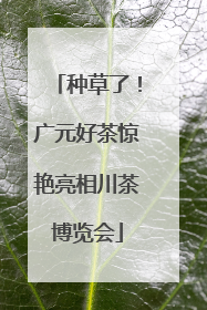 种草了！广元好茶惊艳亮相川茶博览会