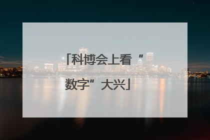 科博会上看“数字”大兴