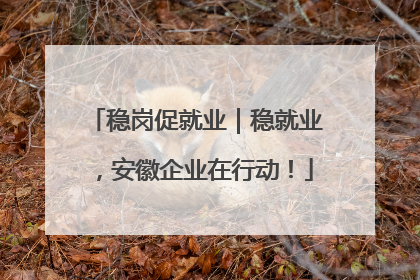 稳岗促就业｜稳就业，安徽企业在行动！