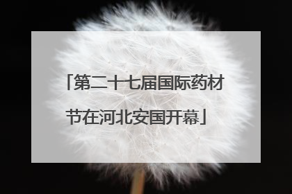 第二十七届国际药材节在河北安国开幕