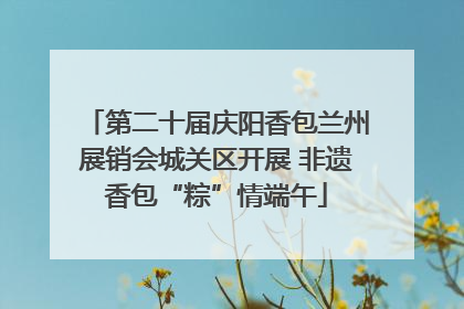 第二十届庆阳香包兰州展销会城关区开展 非遗香包“粽”情端午