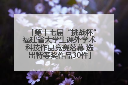 第十七届“挑战杯”福建省大学生课外学术科技作品竞赛落幕 选出特等奖作品30件