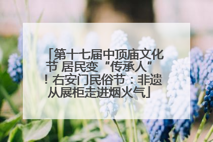 第十七届中顶庙文化节 居民变“传承人”！右安门民俗节：非遗从展柜走进烟火气