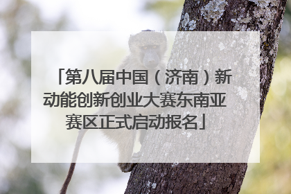 第八届中国（济南）新动能创新创业大赛东南亚赛区正式启动报名