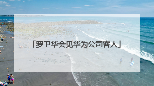 罗卫华会见华为公司客人