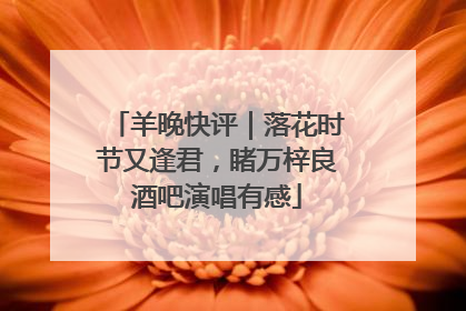 羊晚快评｜落花时节又逢君，睹万梓良酒吧演唱有感