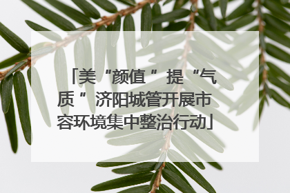 美“颜值 ”提“气质 ”济阳城管开展市容环境集中整治行动