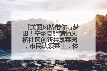 美丽凤桥带你寻梦田！宁乡夏铎铺镇凤桥社区创新共享菜园，市民认领菜土，体验耕种收获乐趣