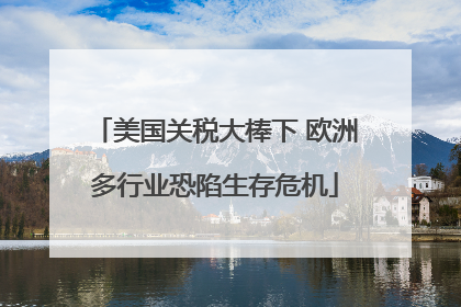 美国关税大棒下 欧洲多行业恐陷生存危机