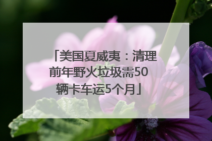 美国夏威夷：清理前年野火垃圾需50辆卡车运5个月