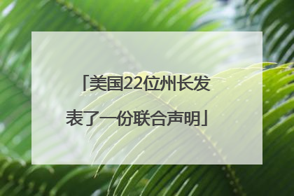 美国22位州长发表了一份联合声明