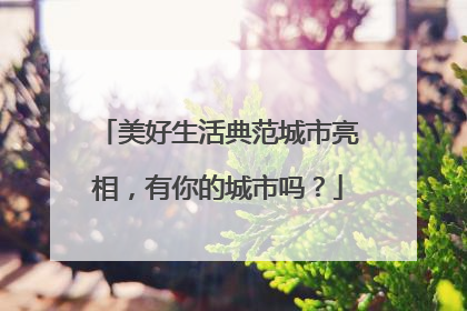 美好生活典范城市亮相，有你的城市吗？
