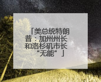 美总统特朗普：加州州长和洛杉矶市长“无能”