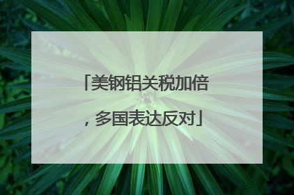 美钢铝关税加倍，多国表达反对