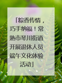 粽香传情，巧手纳福！常熟市琴川街道开展退休人员端午文化体验活动