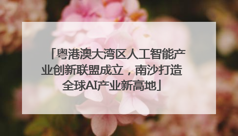粤港澳大湾区人工智能产业创新联盟成立，南沙打造全球AI产业新高地