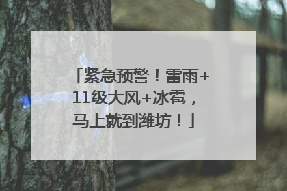 紧急预警！雷雨+11级大风+冰雹，马上就到潍坊！