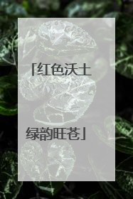 红色沃土 绿韵旺苍
