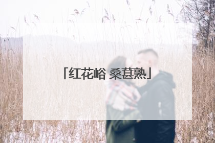 红花峪 桑葚熟