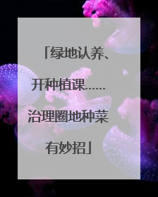 绿地认养、开种植课……治理圈地种菜有妙招