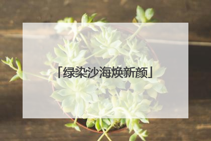绿染沙海焕新颜