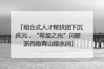 组合式人才帮扶团下沉庆元，“希望之光”闪耀浙西南青山绿水间